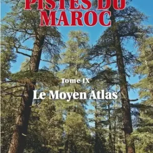 Meilleure Vente GUIDE GANDINI PISTES DU MAROC TOME 9 : LE MOYEN ATLAS