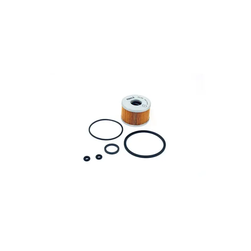 Achetez Aujourd’hui Filtre à essence pour Land Rover Séries III, Defender, et Range Rover Classic