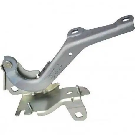 Meilleur Choix CHARNIERE GAUCHE DE CAPOT RENAULT LAGUNA (07-15)
