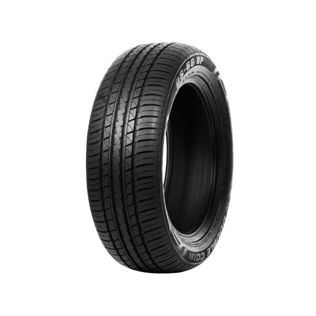 PNEU DOUBLE COIN DS66HP 225/55 VR19 TL 99VDC DS66 HP Nouvel Arrivage