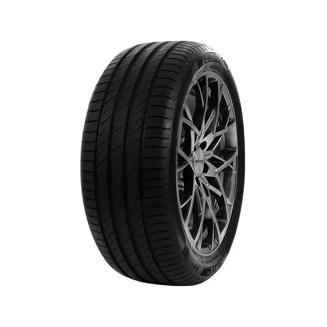 Livraison Express PNEU DELINTE DS2 205/60 VR16 TL 92VDELINTE DS2